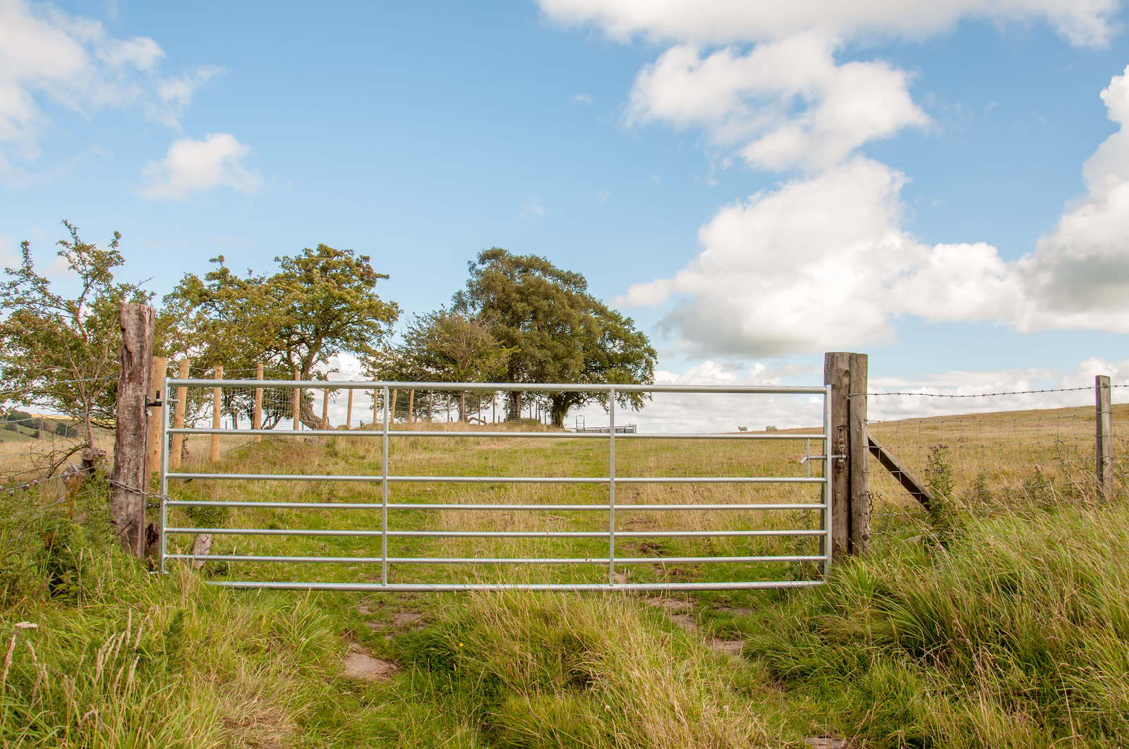 Farm gate in the summer countryside — the kind of deck, fence & paver work our vetted local pros handle in Sarasota, FL