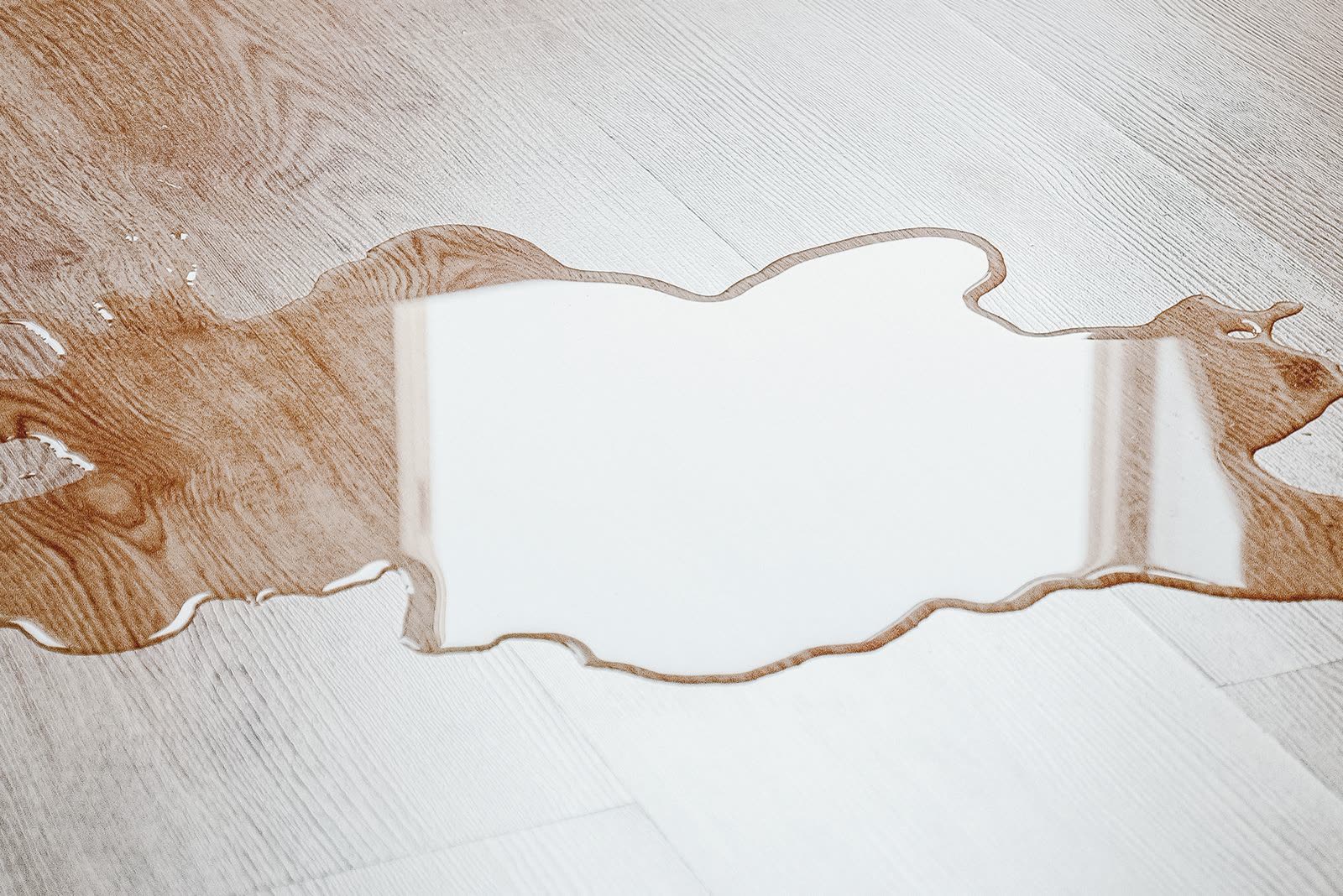 Water where it should not be — the kind of work our vetted local pros handle in Sarasota, FL