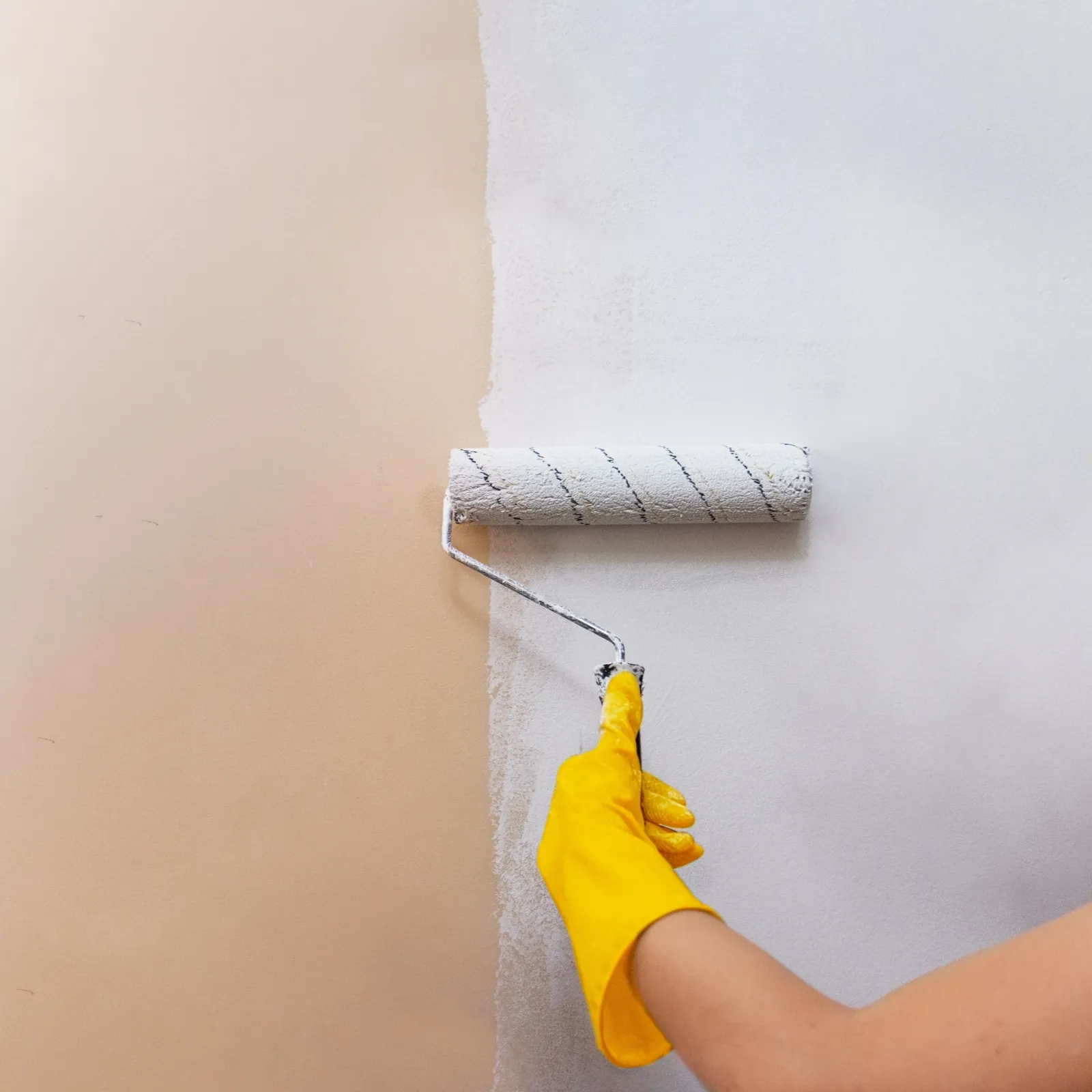 Painting (Interior & Exterior)