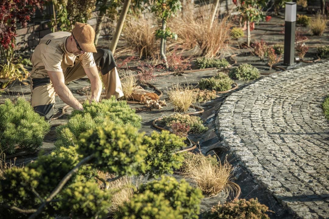 Planting new garden trees — the kind of rental repair & turnovers our vetted local pros handle in Sarasota, FL