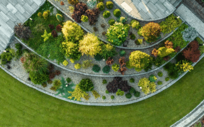 Hardscape and Landscape Services in Sarasota & Bradenton