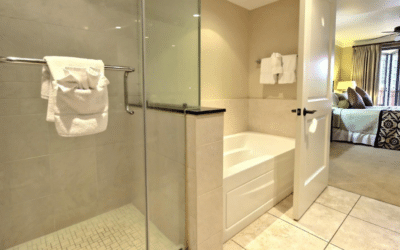 Should I Choose a Walk-In Shower or Tub in My Sarasota Home?